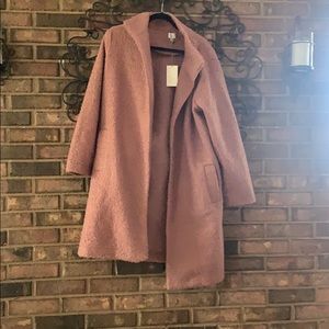 Pink teddy NWT